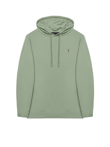 Polo Club SWEATSHIRT in Jade Grün