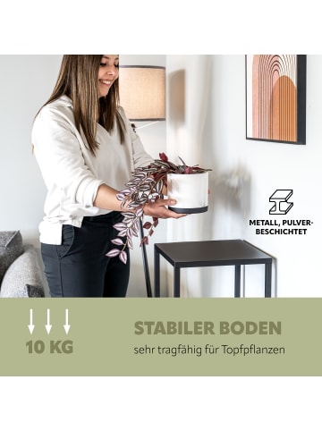 bremermann Blumenhocker 3er-Set ca. 30 x 30 x 90 cm (B/T/H)