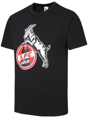 Fußballverein 1. FC Köln T-Shirt "T-Shirt Basic" in Schwarz