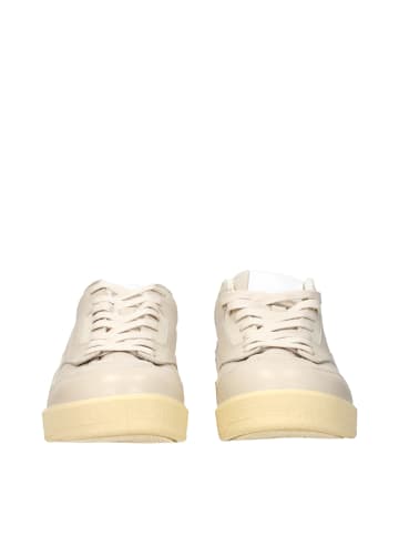 Jil Sander Beige Leder Low Top Sneaker