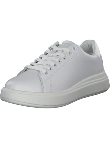 Calvin Klein Schnürschuhe in white / Marshmallow