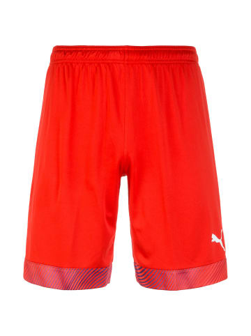 Puma Trainingsshorts Cup in rot / weiß