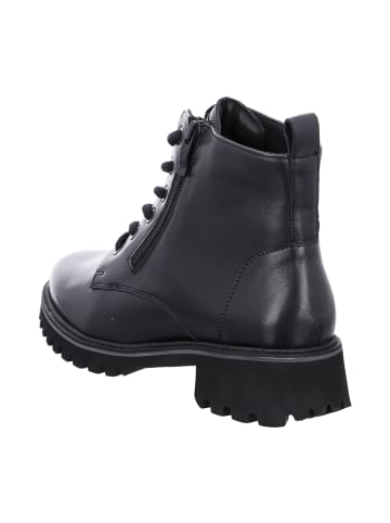 ara Schnürstiefeletten in Schwarz