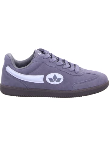 Lico Sneaker in grau