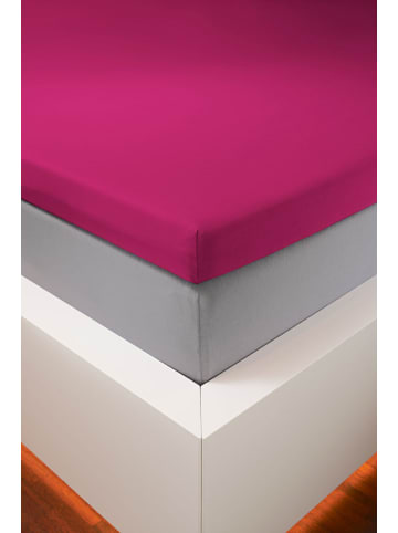 bellana jersey Spannbetttuch Bellana Edel-Elastic-Jersey Topper in fuchsia