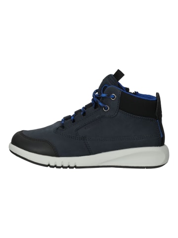 Geox Sneaker in Navy