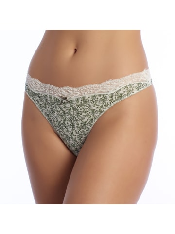 Janira 2er-Set: Pantys in Green