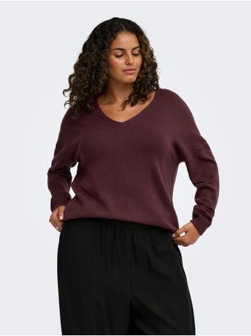 ONLY Carmakoma Strickpullover in Fig