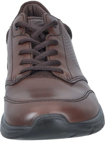Ecco Schnürschuhe in brown