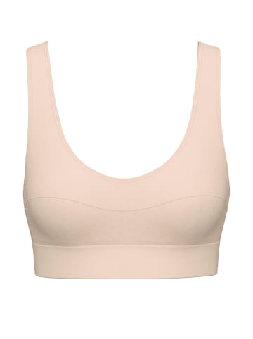Calida Bustier in rose teint