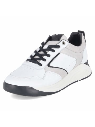 Low Sneaker in weiß