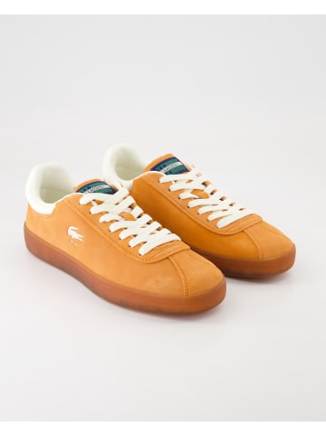 Lacoste Sneaker in Orange