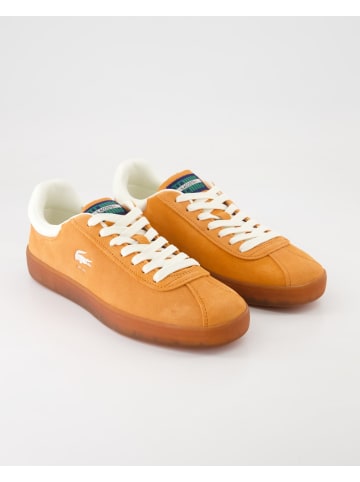 Lacoste Sneaker low in Orange