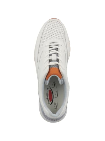 Gabor Sneaker low 46.876 in weiss