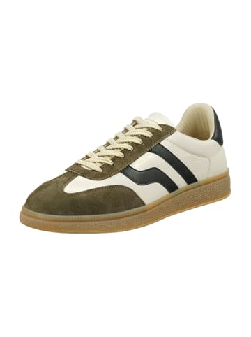 Gant Sneaker Low in Grün