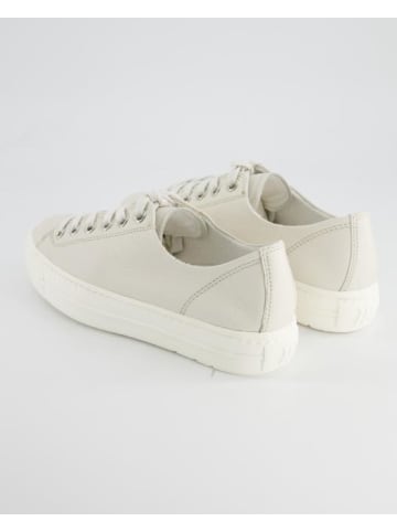 Paul Green Sneaker low in Beige