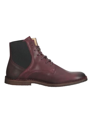 Kickers Stiefelette in Bordeaux