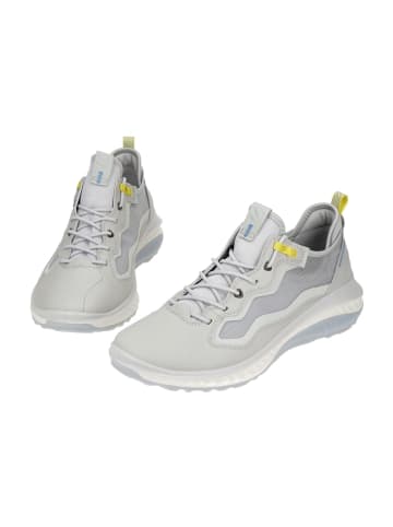 Ecco Komfort Schnürschuhe in Grau
