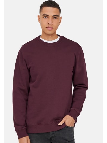 ONLY & SONS Sweatshirt Connor in Port royale