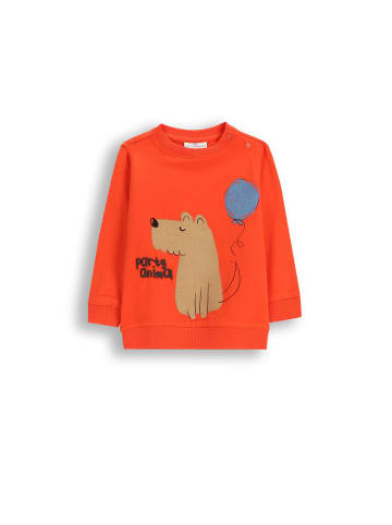 Coccodrillo Langarmshirt in rot