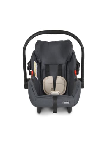 Moni Trio Set mit Isofixbasis (40 - 87cm) in natur
