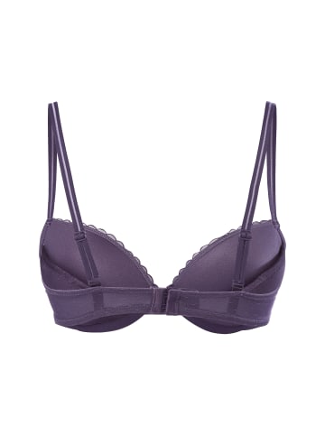 LASCANA BH in aubergine