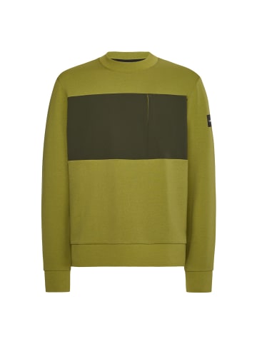 Calvin Klein Sweatshirt in LRV