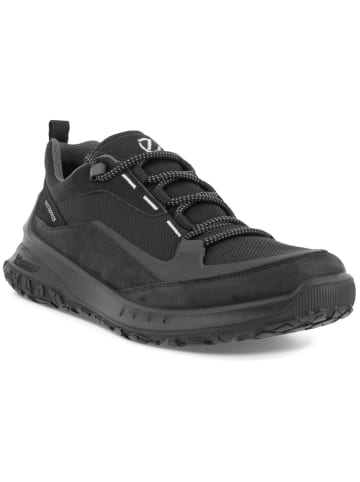 Ecco Sneaker in schwarz