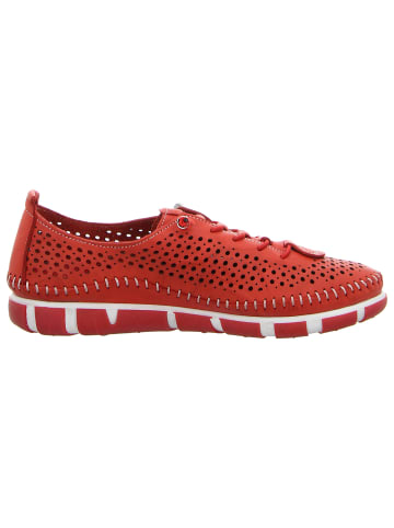Gemini Sportlicher Schnürschuh in rot