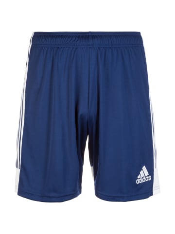 adidas Performance Funktionsshorts Tastigo 19 in dunkelblau / weiß