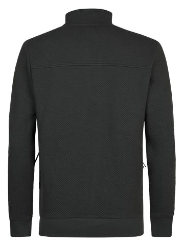 Petrol Industries Sweatshirt mit Zip-Kragen steelcrest in Grün