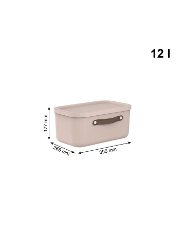 Rotho 2er-Set Kiste mit Deckel Maloja 12l in Meadow rose