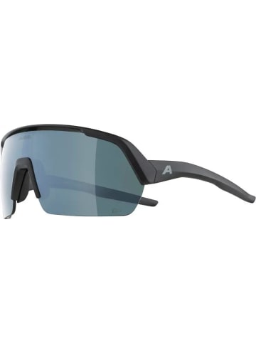 Alpina Ski-Sonnenbrille in schwarz