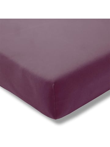 Estella Spannbettlaken in aubergine