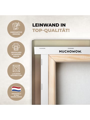 MuchoWow Leinwand bilder Nahaufnahme Flaum (BxH)