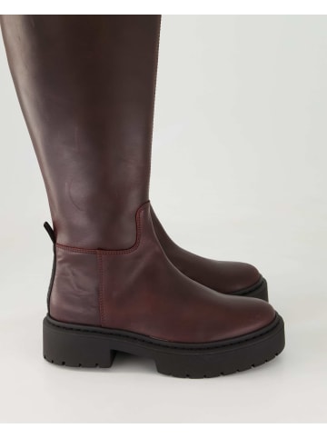 Steve Madden Klassische Stiefel in Bordeaux