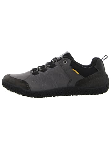 Camel Active Schnürschuh in grau
