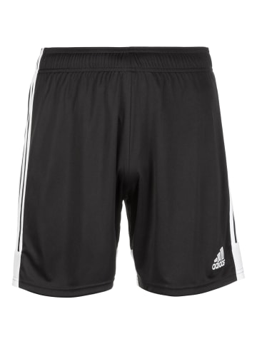 adidas Performance Funktionsshorts Tastigo 19 in schwarz / weiß