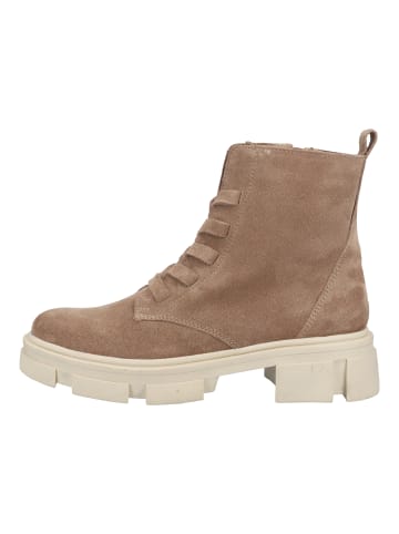 ILC Stiefelette in Taupe