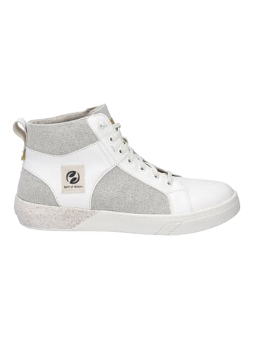 Josef Seibel Sneaker Fred in weiss-kombi