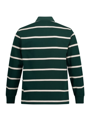 JP1880 Sweatshirt in tannengrün