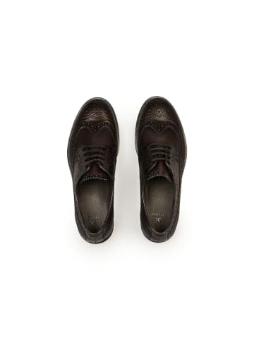 LLOYD Schnürschuh WELKIN in dk.brown