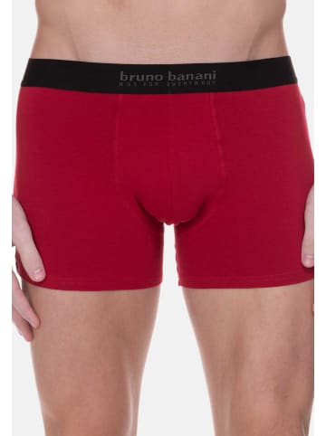 Bruno Banani Retro Short / Pant Energy Cotton in Rot / Navy / Weiß