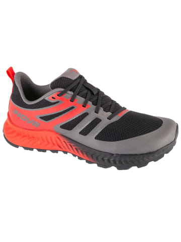 inov-8 Inov-8 Trailfly Standard in Grau