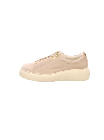 Paul Green Sneaker für Damen in beige