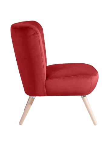 others SESSEL Kassi Bezug Samtvelours Buche natur / ziegel