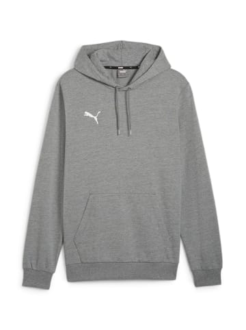 Puma Sweatshirt teamGOAL Casuals Hoody in grau