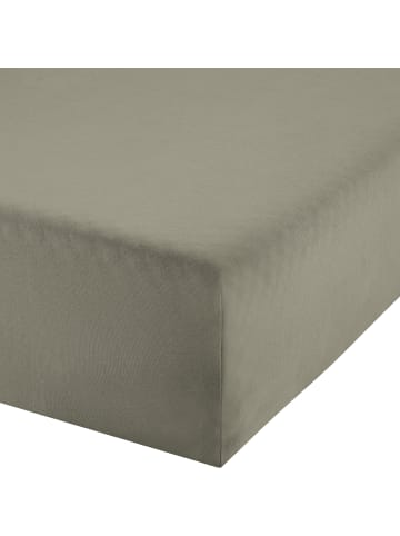 Erwin Müller Single-Jersey Boxspringbett-Spannbettlaken Freising in taupe