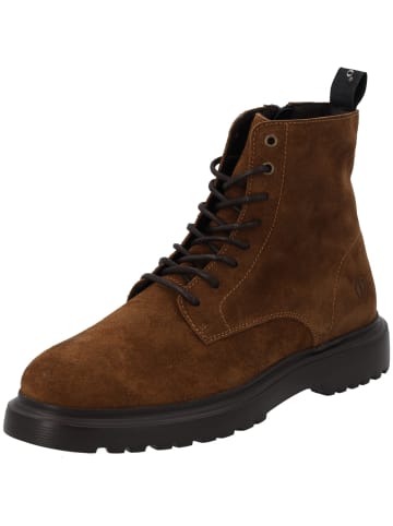 Palado Schnürstiefeletten Nignor in Braun