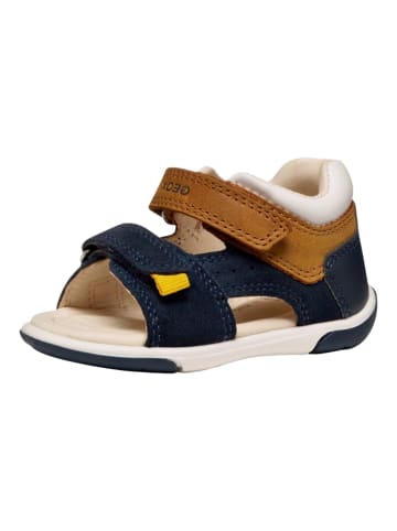 Geox Sandalen Blau/Braun